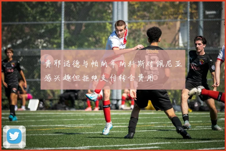 费耶诺德与帕纳辛纳科斯对佩尼亚感兴趣但拒绝支付转会费用
