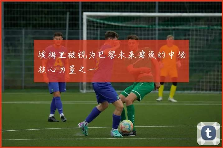 埃梅里被视为巴黎未来建设的中场核心力量之一