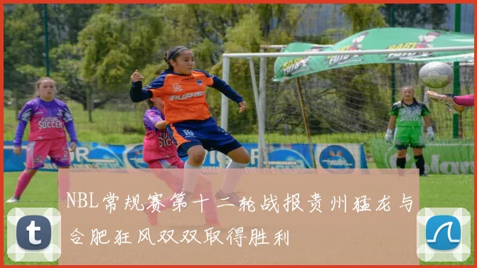 NBL常规赛第十二轮战报贵州猛龙与合肥狂风双双取得胜利